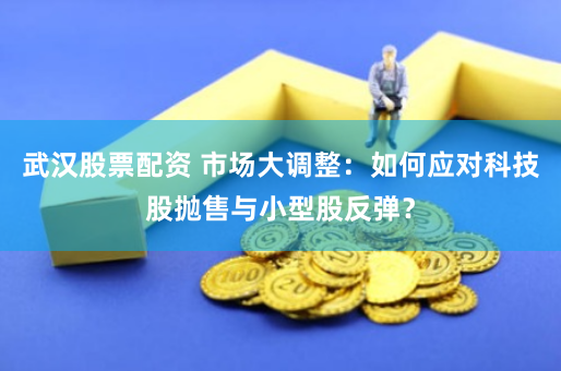 武汉股票配资 市场大调整：如何应对科技股抛售与小型股反弹？