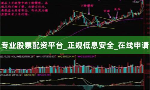专业股票配资平台_正规低息安全_在线申请